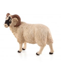 Animal Planet 387081 Black Faced Sheep Ram